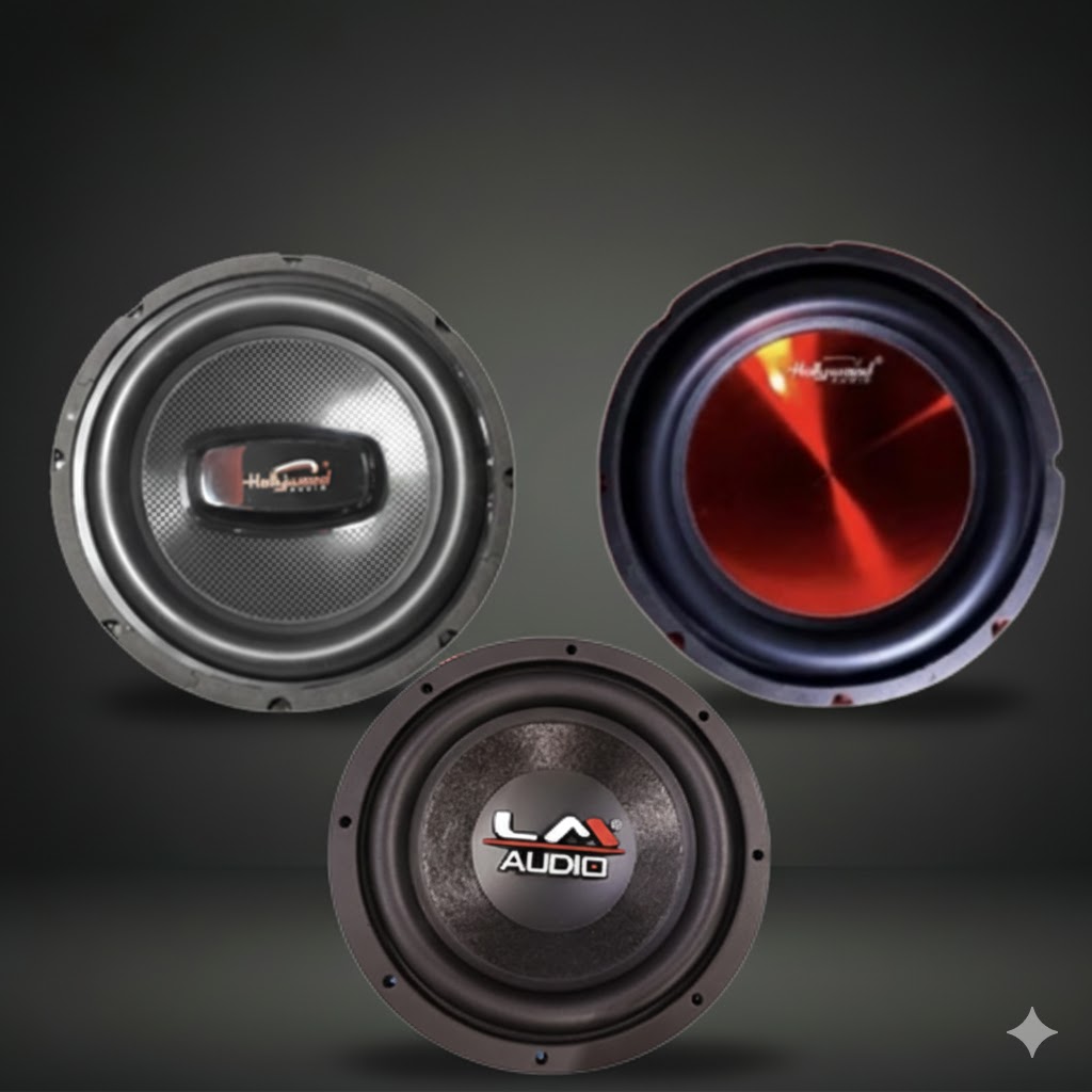 SUBWOOFER 10 INCH/12 INCH